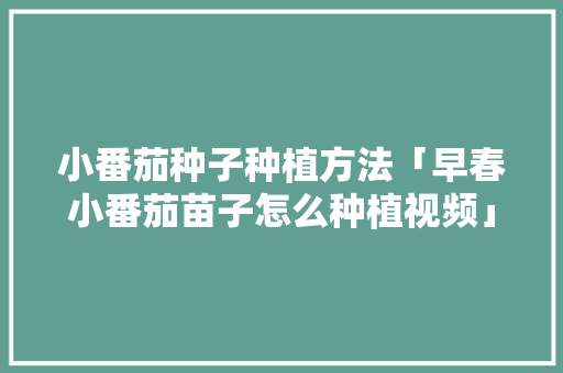 小番茄种子种植方法「早春小番茄苗子怎么种植视频」 番茄种植技巧 小番茄种子种植方法「早春小番茄苗子怎么种植视频」 小番茄种子种植方法「早春小番茄苗子怎么种植视频」 番茄种植技巧