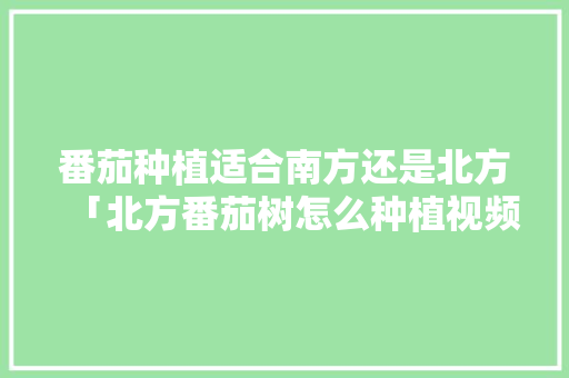番茄种植适合南方还是北方「北方番茄树怎么种植视频」