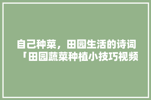 自己种菜，田园生活的诗词「田园蔬菜种植小技巧视频」