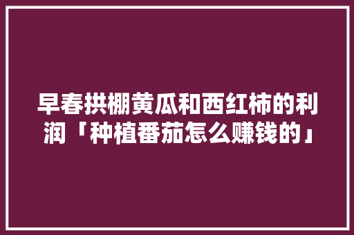 早春拱棚黄瓜和西红柿的利润「种植番茄怎么赚钱的」