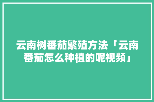 云南树番茄繁殖方法「云南番茄怎么种植的呢视频」 云南树番茄繁殖方法「云南番茄怎么种植的呢视频」 花朵知识