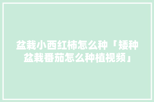 盆栽小西红柿怎么种「矮种盆栽番茄怎么种植视频」 盆栽小西红柿怎么种「矮种盆栽番茄怎么种植视频」 番茄病虫害防治