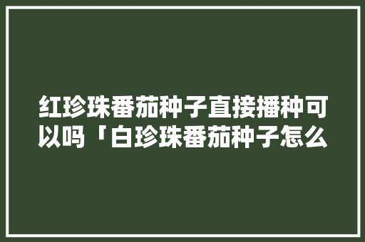 红珍珠番茄种子直接播种可以吗「白珍珠番茄种子怎么种植的」 红珍珠番茄种子直接播种可以吗「白珍珠番茄种子怎么种植的」 植物种类