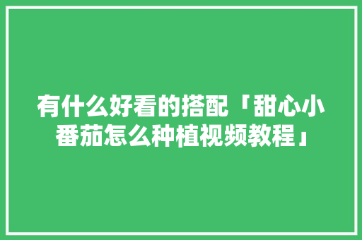 有什么好看的搭配「甜心小番茄怎么种植视频教程」