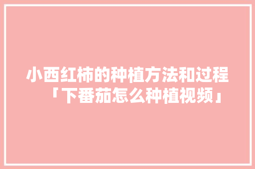 小西红柿的种植方法和过程「下番茄怎么种植视频」 小西红柿的种植方法和过程「下番茄怎么种植视频」 花朵知识