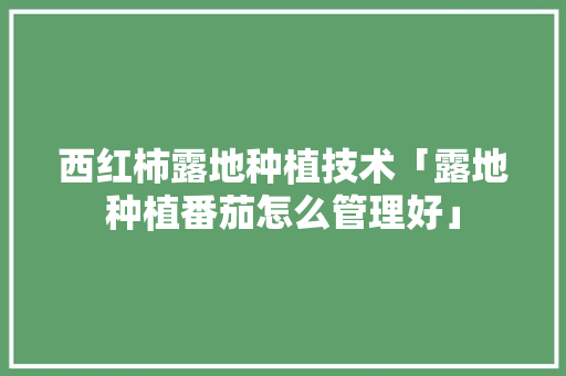西红柿露地种植技术「露地种植番茄怎么管理好」 西红柿露地种植技术「露地种植番茄怎么管理好」 植物种类