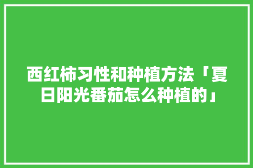 西红柿习性和种植方法「夏日阳光番茄怎么种植的」 西红柿习性和种植方法「夏日阳光番茄怎么种植的」 植物种类