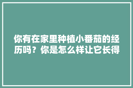 你有在家里种植小番茄的经历吗？你是怎么样让它长得更好的「菜地种小番茄怎么种植视频」 你有在家里种植小番茄的经历吗？你是怎么样让它长得更好的「菜地种小番茄怎么种植视频」 植物种类