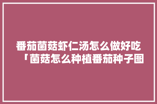 番茄菌菇虾仁汤怎么做好吃「菌菇怎么种植番茄种子图片」 番茄菌菇虾仁汤怎么做好吃「菌菇怎么种植番茄种子图片」 番茄种植技巧
