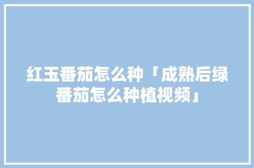 红玉番茄怎么种「成熟后绿番茄怎么种植视频」 红玉番茄怎么种「成熟后绿番茄怎么种植视频」 花朵知识