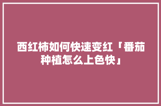 西红柿如何快速变红「番茄种植怎么上色快」 西红柿如何快速变红「番茄种植怎么上色快」 番茄病虫害防治