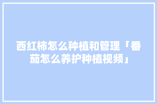 西红柿怎么种植和管理「番茄怎么养护种植视频」 西红柿怎么种植和管理「番茄怎么养护种植视频」 番茄病虫害防治