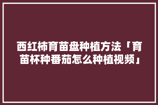 西红柿育苗盘种植方法「育苗杯种番茄怎么种植视频」 西红柿育苗盘种植方法「育苗杯种番茄怎么种植视频」 土壤施肥