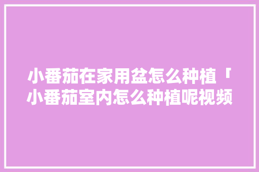 小番茄在家用盆怎么种植「小番茄室内怎么种植呢视频」 小番茄在家用盆怎么种植「小番茄室内怎么种植呢视频」 农业常识