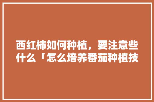 西红柿如何种植，要注意些什么「怎么培养番茄种植技术呢」 西红柿如何种植，要注意些什么「怎么培养番茄种植技术呢」 农业常识