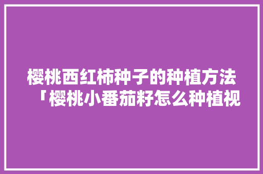 樱桃西红柿种子的种植方法「樱桃小番茄籽怎么种植视频」