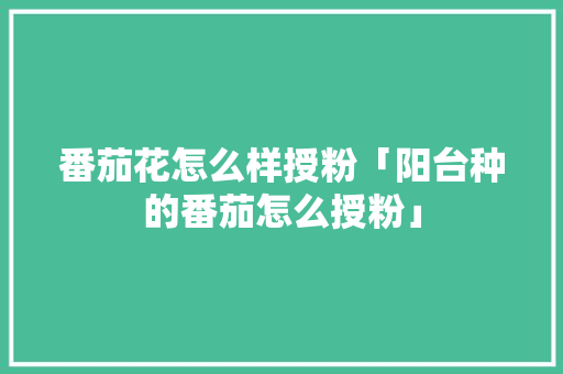 番茄花怎么样授粉「阳台种的番茄怎么授粉」 植物种类 番茄花怎么样授粉「阳台种的番茄怎么授粉」 番茄花怎么样授粉「阳台种的番茄怎么授粉」 植物种类