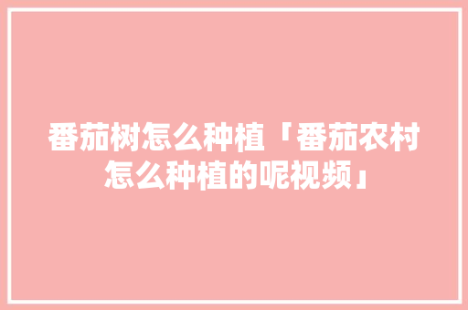 番茄树怎么种植「番茄农村怎么种植的呢视频」 番茄树怎么种植「番茄农村怎么种植的呢视频」 番茄病虫害防治