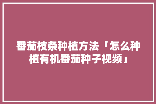 番茄枝条种植方法「怎么种植有机番茄种子视频」 植物种类 番茄枝条种植方法「怎么种植有机番茄种子视频」 番茄枝条种植方法「怎么种植有机番茄种子视频」 植物种类