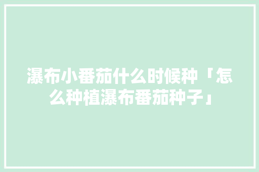 瀑布小番茄什么时候种「怎么种植瀑布番茄种子」 瀑布小番茄什么时候种「怎么种植瀑布番茄种子」 番茄病虫害防治
