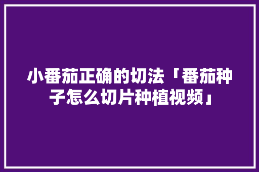 小番茄正确的切法「番茄种子怎么切片种植视频」 小番茄正确的切法「番茄种子怎么切片种植视频」 番茄种植技巧