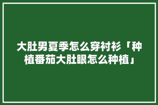 大肚男夏季怎么穿衬衫「种植番茄大肚眼怎么种植」 大肚男夏季怎么穿衬衫「种植番茄大肚眼怎么种植」 番茄病虫害防治