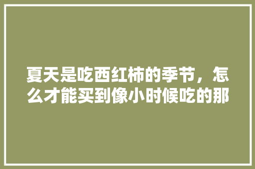 夏天是吃西红柿的季节，怎么才能买到像小时候吃的那样的沙瓤西红柿呢「番茄沙瓤绿籽怎么种植视频」 夏天是吃西红柿的季节，怎么才能买到像小时候吃的那样的沙瓤西红柿呢「番茄沙瓤绿籽怎么种植视频」 花朵知识
