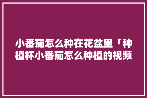 小番茄怎么种在花盆里「种植杯小番茄怎么种植的视频」