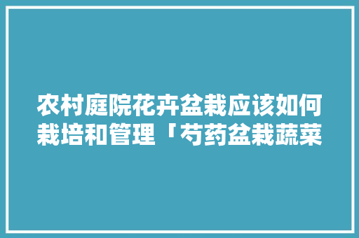 农村庭院花卉盆栽应该如何栽培和管理「芍药盆栽蔬菜种植小技巧视频」