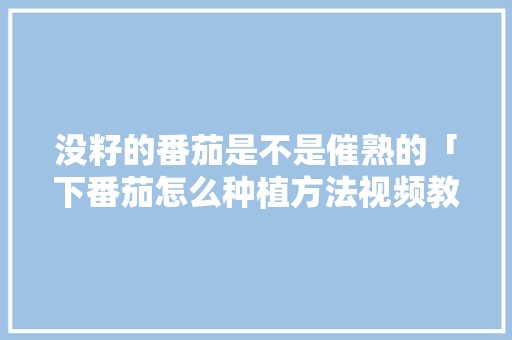 没籽的番茄是不是催熟的「下番茄怎么种植方法视频教程」 没籽的番茄是不是催熟的「下番茄怎么种植方法视频教程」 植物种类