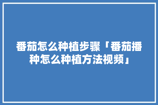 番茄怎么种植步骤「番茄播种怎么种植方法视频」 番茄怎么种植步骤「番茄播种怎么种植方法视频」 番茄种植技巧