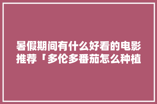 暑假期间有什么好看的电影推荐「多伦多番茄怎么种植的」