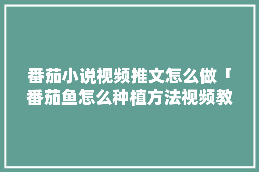 番茄小说视频推文怎么做「番茄鱼怎么种植方法视频教程」 番茄小说视频推文怎么做「番茄鱼怎么种植方法视频教程」 土壤施肥