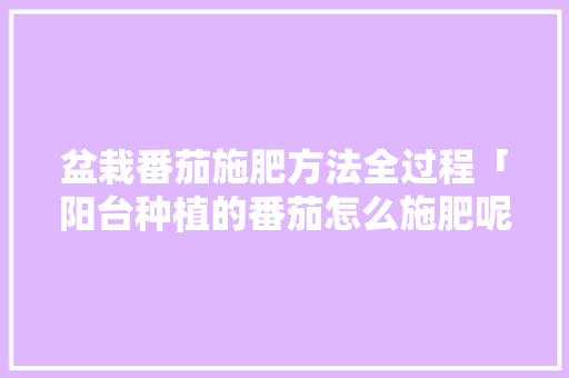 盆栽番茄施肥方法全过程「阳台种植的番茄怎么施肥呢」 农业常识 盆栽番茄施肥方法全过程「阳台种植的番茄怎么施肥呢」 盆栽番茄施肥方法全过程「阳台种植的番茄怎么施肥呢」 农业常识