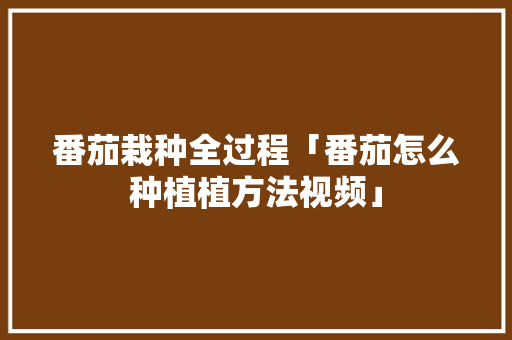 番茄栽种全过程「番茄怎么种植植方法视频」 番茄栽种全过程「番茄怎么种植植方法视频」 番茄种植技巧