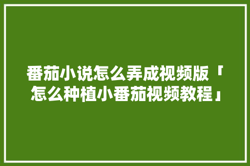 番茄小说怎么弄成视频版「怎么种植小番茄视频教程」 番茄小说怎么弄成视频版「怎么种植小番茄视频教程」 土壤施肥