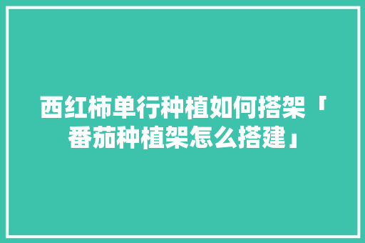 西红柿单行种植如何搭架「番茄种植架怎么搭建」 种植技巧 西红柿单行种植如何搭架「番茄种植架怎么搭建」 西红柿单行种植如何搭架「番茄种植架怎么搭建」 种植技巧