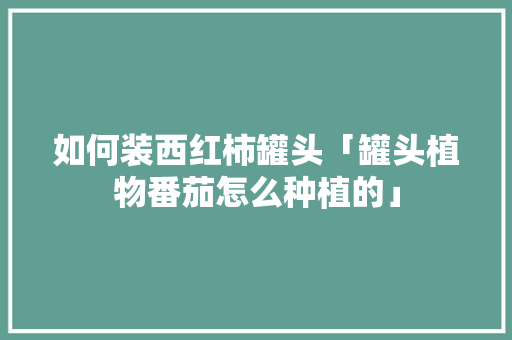如何装西红柿罐头「罐头植物番茄怎么种植的」 如何装西红柿罐头「罐头植物番茄怎么种植的」 种植技巧