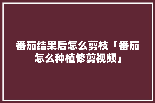 番茄结果后怎么剪枝「番茄怎么种植修剪视频」 番茄结果后怎么剪枝「番茄怎么种植修剪视频」 番茄病虫害防治