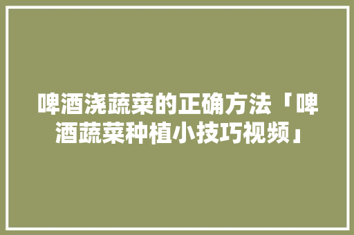 啤酒浇蔬菜的正确方法「啤酒蔬菜种植小技巧视频」