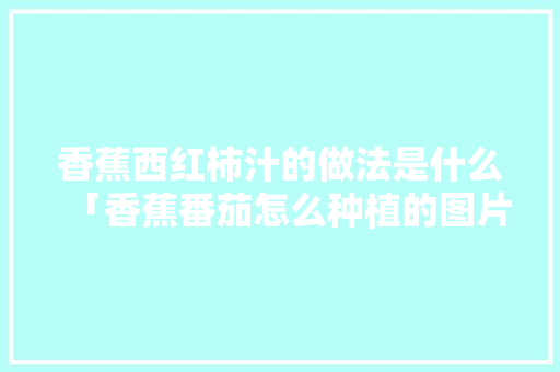 香蕉西红柿汁的做法是什么「香蕉番茄怎么种植的图片大全」
