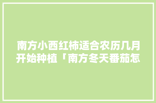 南方小西红柿适合农历几月开始种植「南方冬天番茄怎么种植视频」 南方小西红柿适合农历几月开始种植「南方冬天番茄怎么种植视频」 番茄病虫害防治