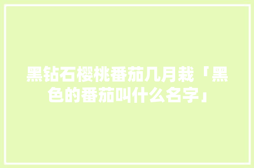 黑钻石樱桃番茄几月栽「黑色的番茄叫什么名字」 黑钻石樱桃番茄几月栽「黑色的番茄叫什么名字」 植物种类