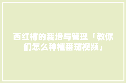 西红柿的栽培与管理「教你们怎么种植番茄视频」 西红柿的栽培与管理「教你们怎么种植番茄视频」 土壤施肥