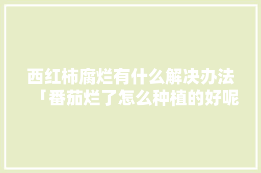 西红柿腐烂有什么解决办法「番茄烂了怎么种植的好呢」 植物种类 西红柿腐烂有什么解决办法「番茄烂了怎么种植的好呢」 西红柿腐烂有什么解决办法「番茄烂了怎么种植的好呢」 植物种类
