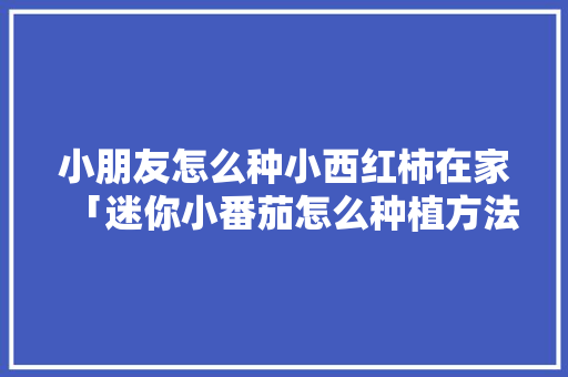 小朋友怎么种小西红柿在家「迷你小番茄怎么种植方法」 小朋友怎么种小西红柿在家「迷你小番茄怎么种植方法」 番茄病虫害防治