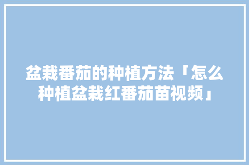 盆栽番茄的种植方法「怎么种植盆栽红番茄苗视频」 盆栽番茄的种植方法「怎么种植盆栽红番茄苗视频」 农业常识