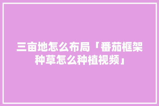 三亩地怎么布局「番茄框架种草怎么种植视频」