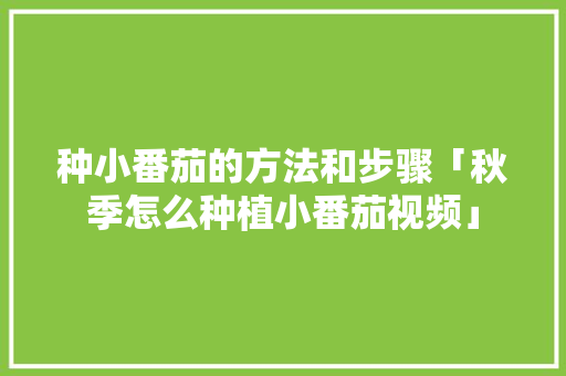 种小番茄的方法和步骤「秋季怎么种植小番茄视频」 种小番茄的方法和步骤「秋季怎么种植小番茄视频」 番茄种植技巧