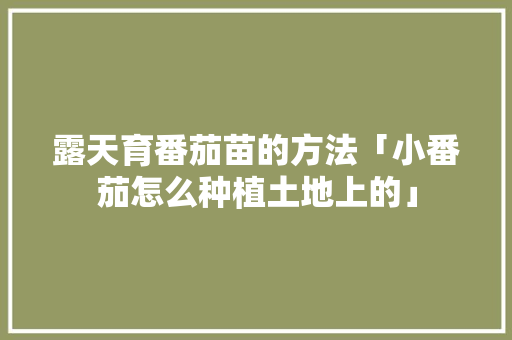 露天育番茄苗的方法「小番茄怎么种植土地上的」 露天育番茄苗的方法「小番茄怎么种植土地上的」 农业常识